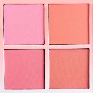 پالت رژگونه 4 رنگ آناستازیا